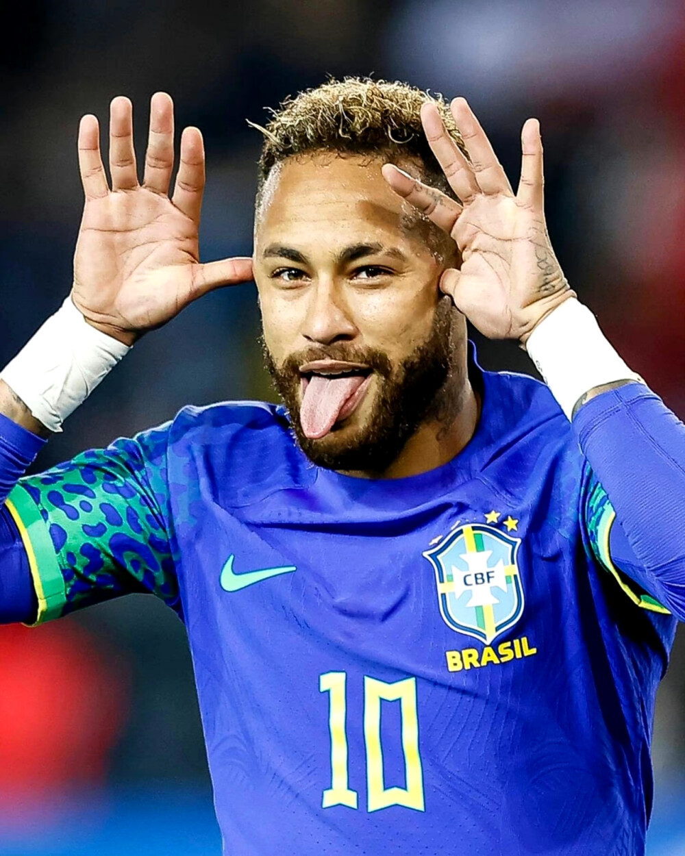 搭配新秀林 搭配新秀林